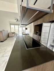 Newton One (D11), Condominium #634653571